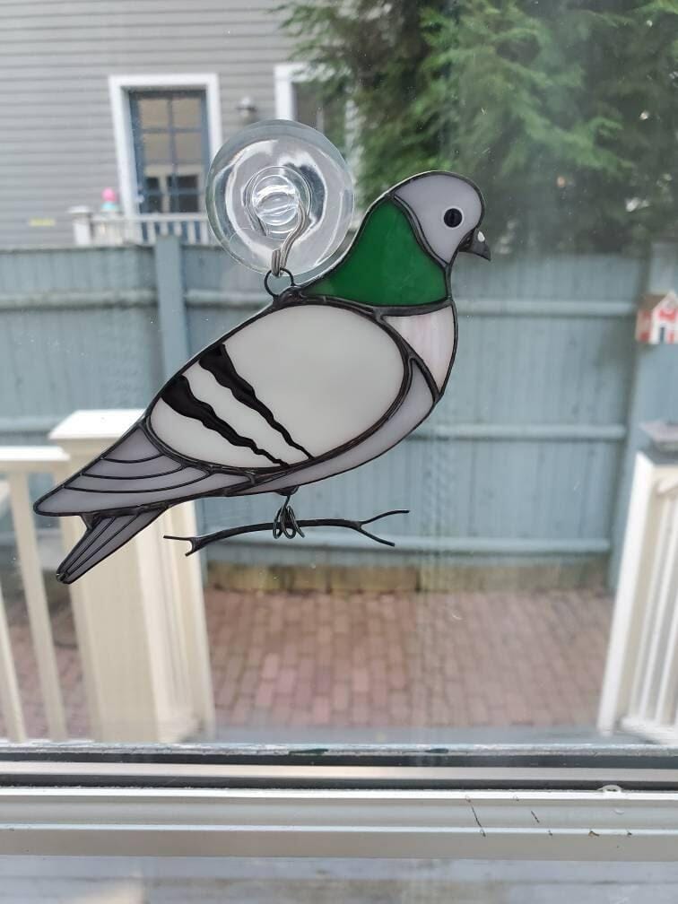 Customer photo review of Pigeon