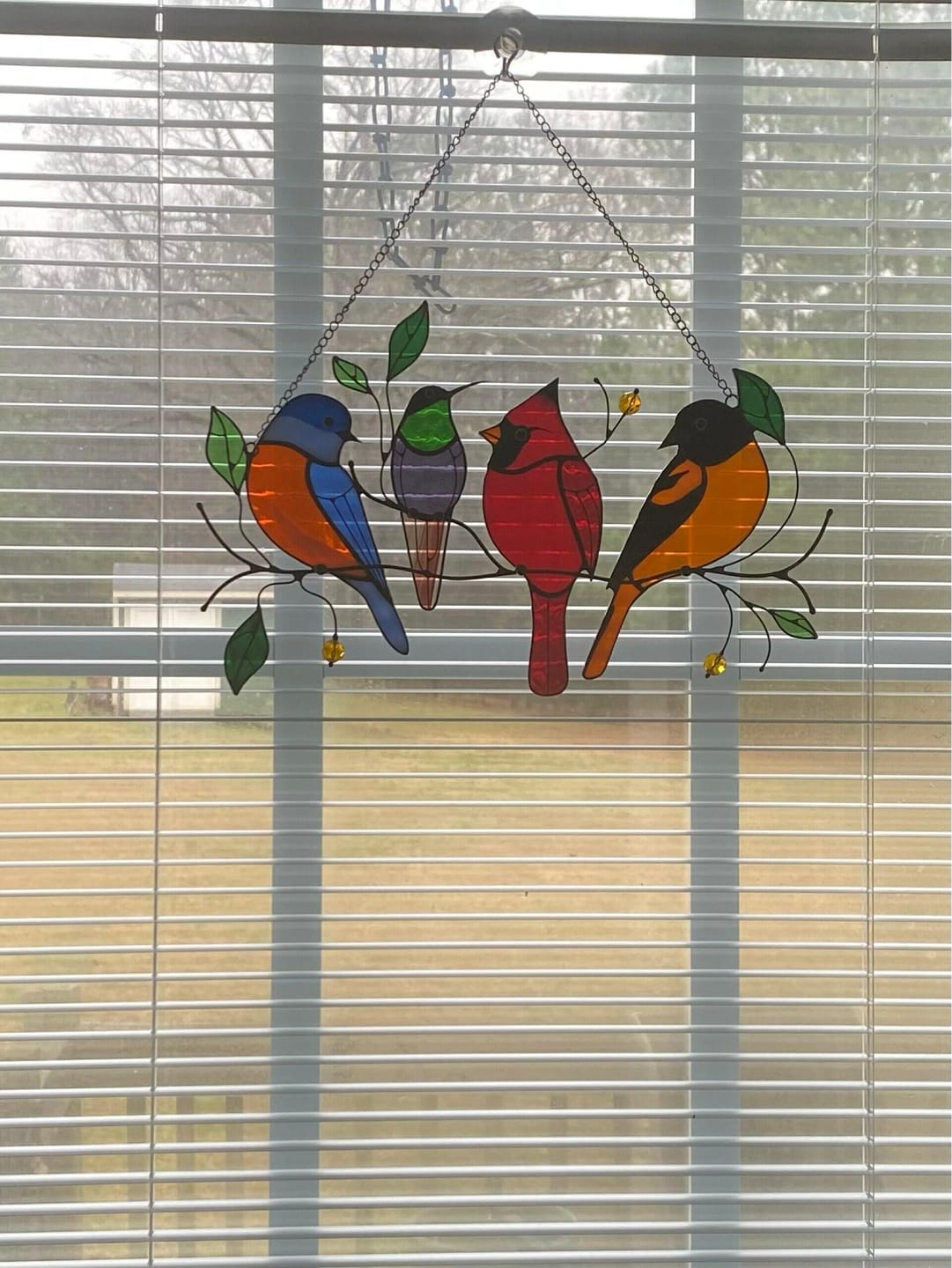 Customer photo review of Four Birds on the Branch