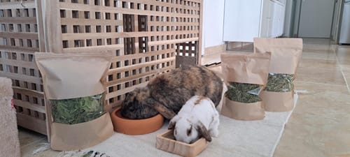 Customer photo review of Box Green – 300g 🌿