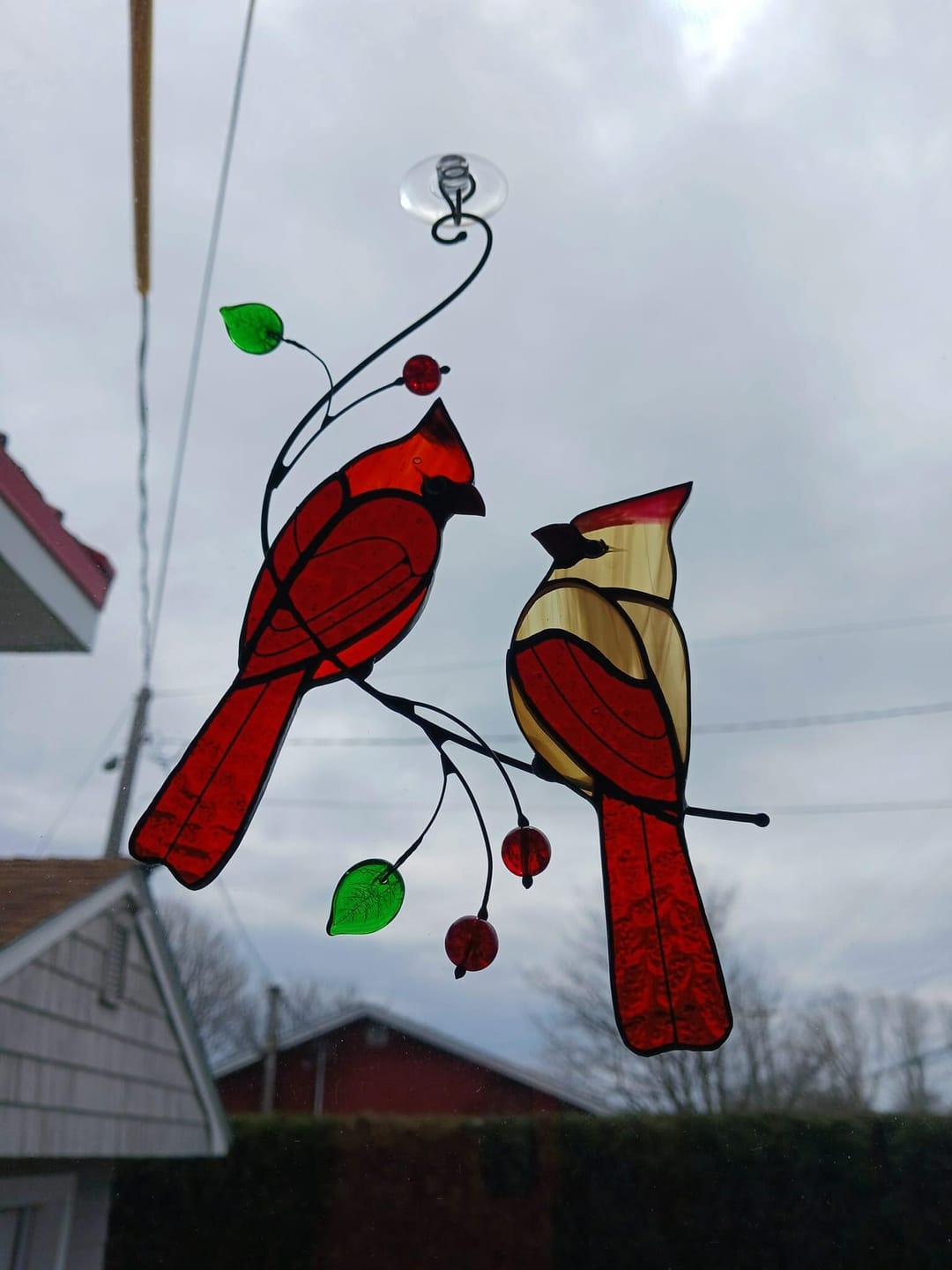 Customer photo review of Hugging Red Cardinals