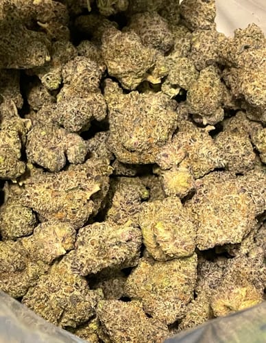 Customer photo review of Grape Soda Exotic THCA Flower