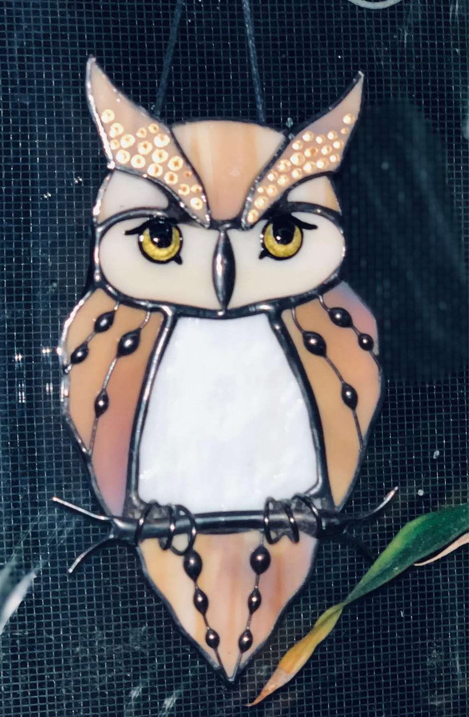 Customer photo review of Great Horned Owl