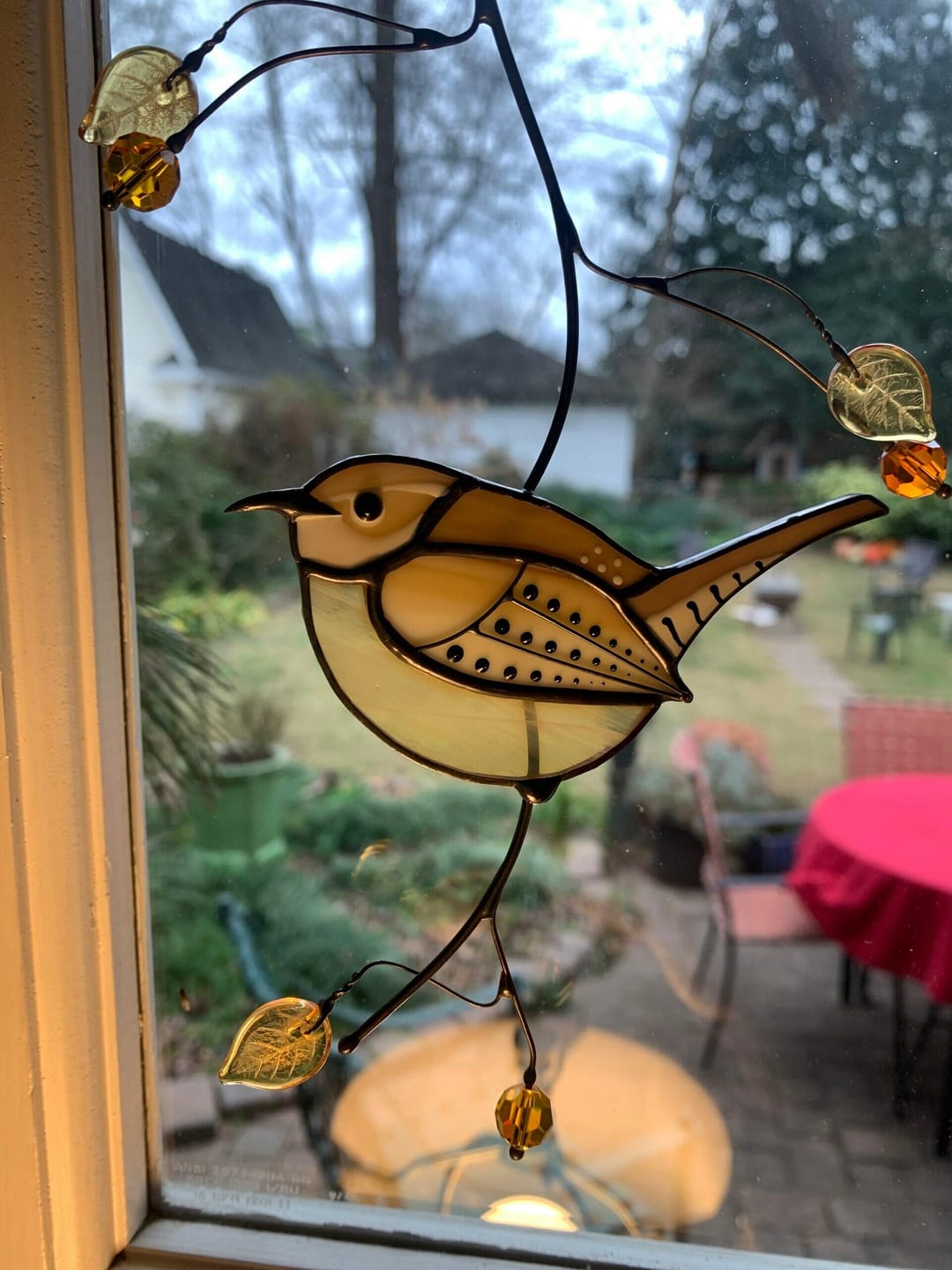 Customer photo review of Carolina Wren