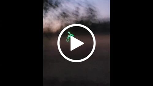 Customer video review of Beast Broadheads - TRUMP Edition