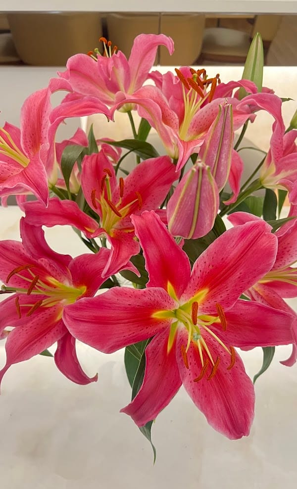 Customer photo review of Oriental Lily
