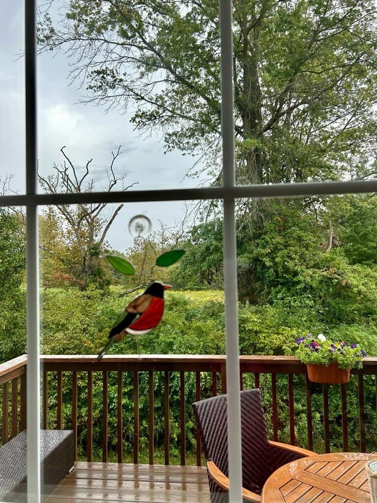 Customer photo review of American Robin Stained Glass Bird