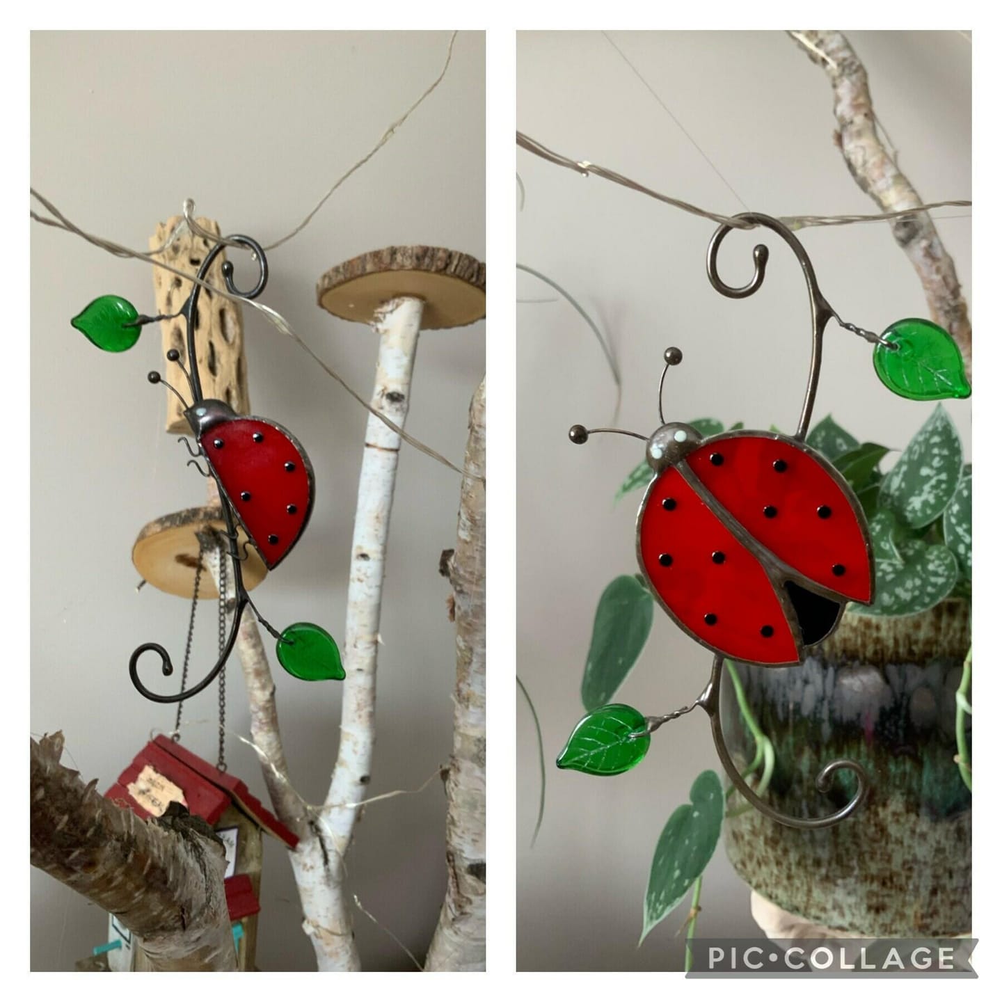 Customer photo review of Red Ladybug Suncatcher