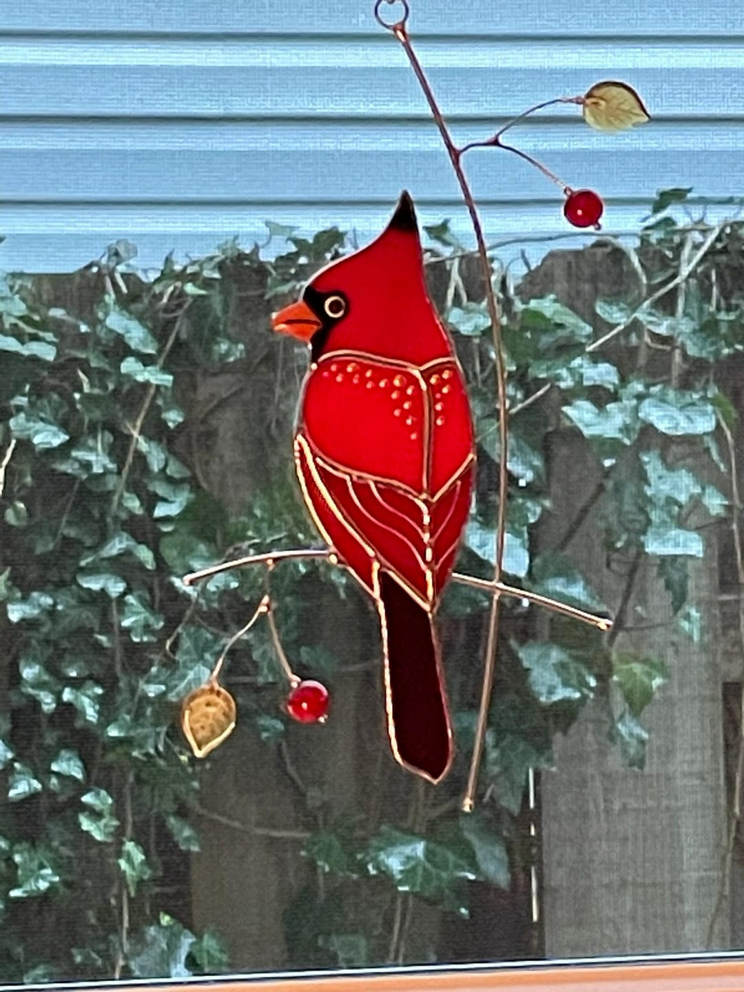 Customer photo review of Golden Cardinal