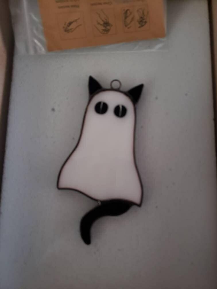 Customer photo review of Cat-Ghosts