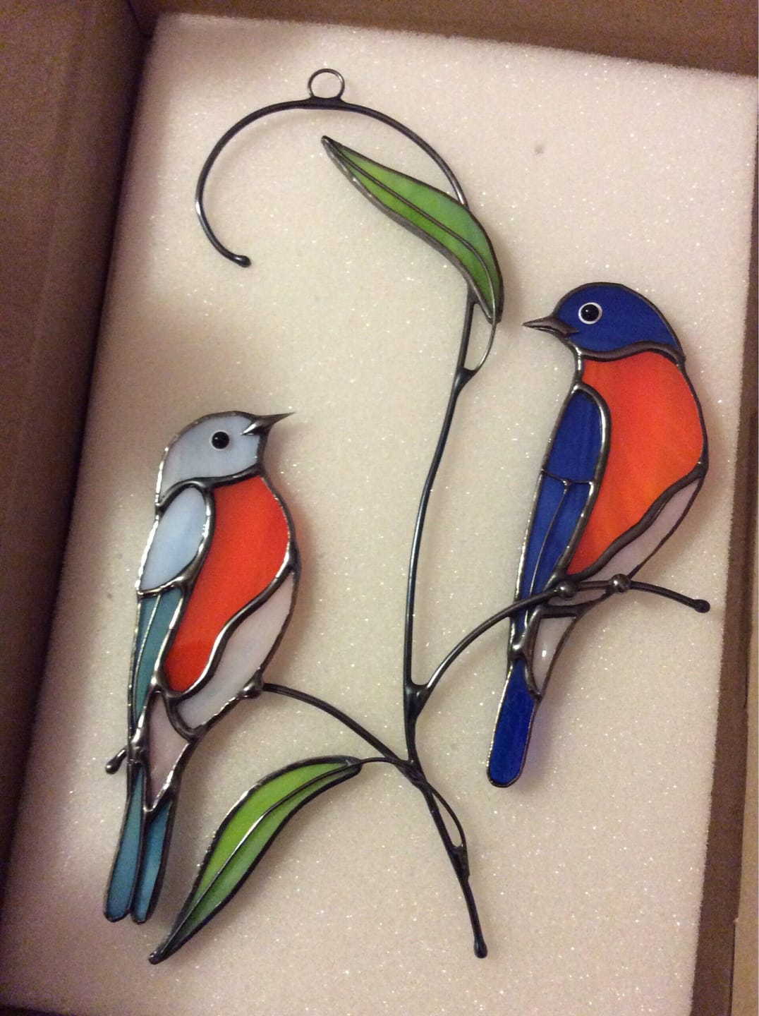 Customer photo review of Couple of Bluebirds