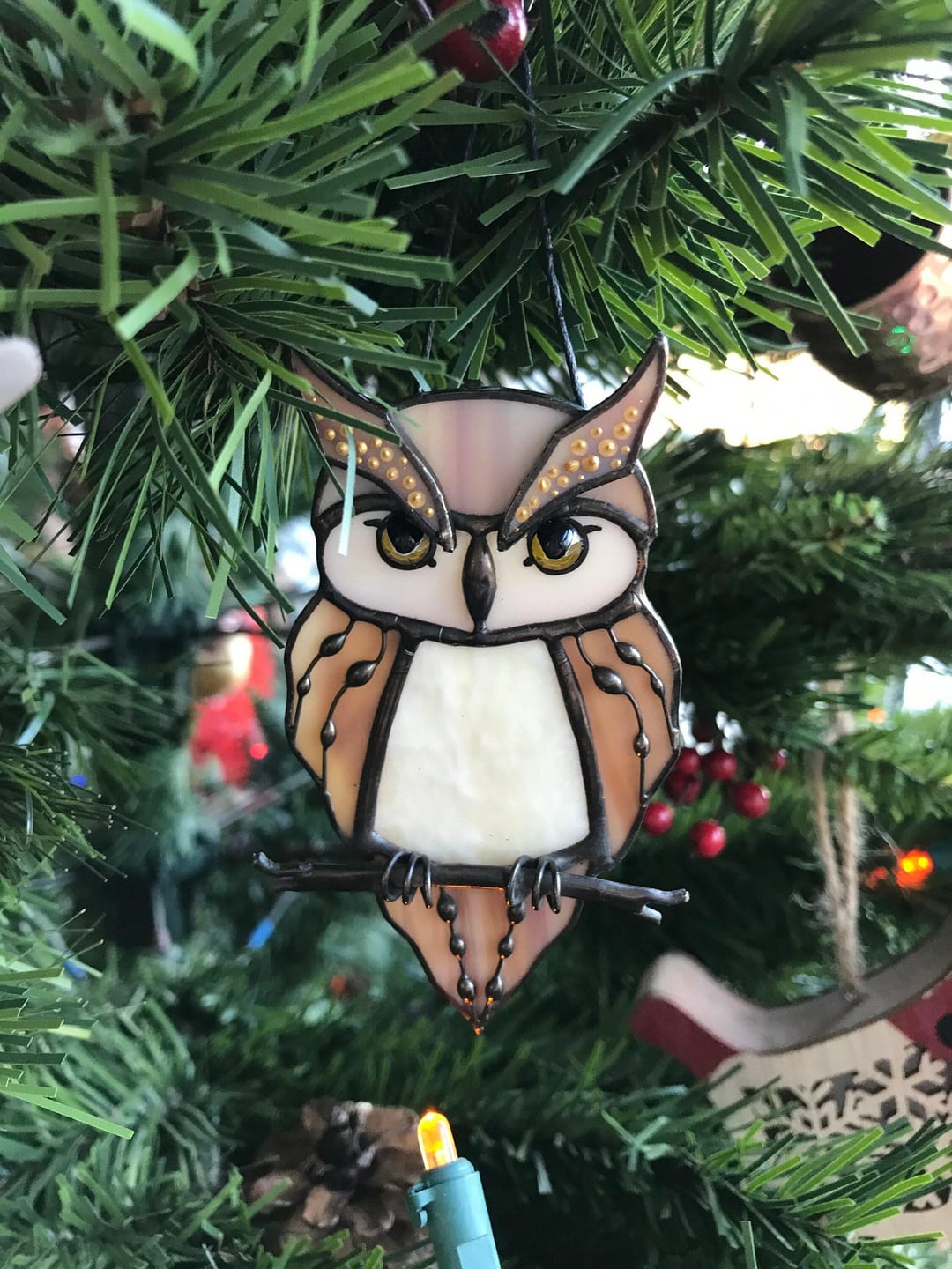 Customer photo review of Great Horned Owl