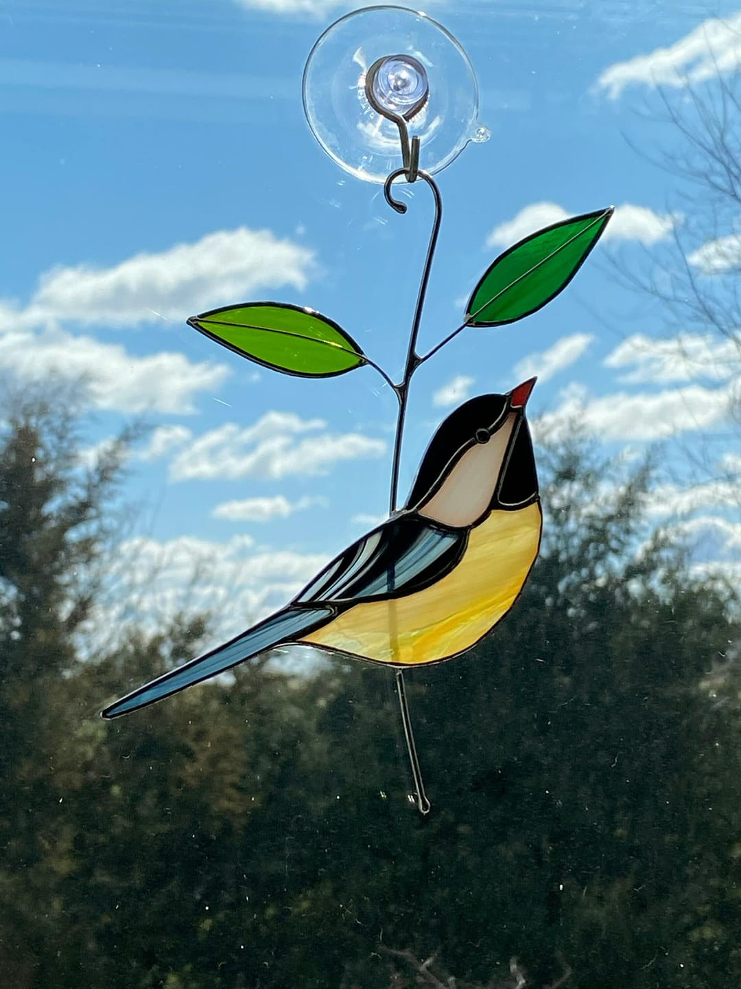 Customer photo review of Black-capped Chickadee