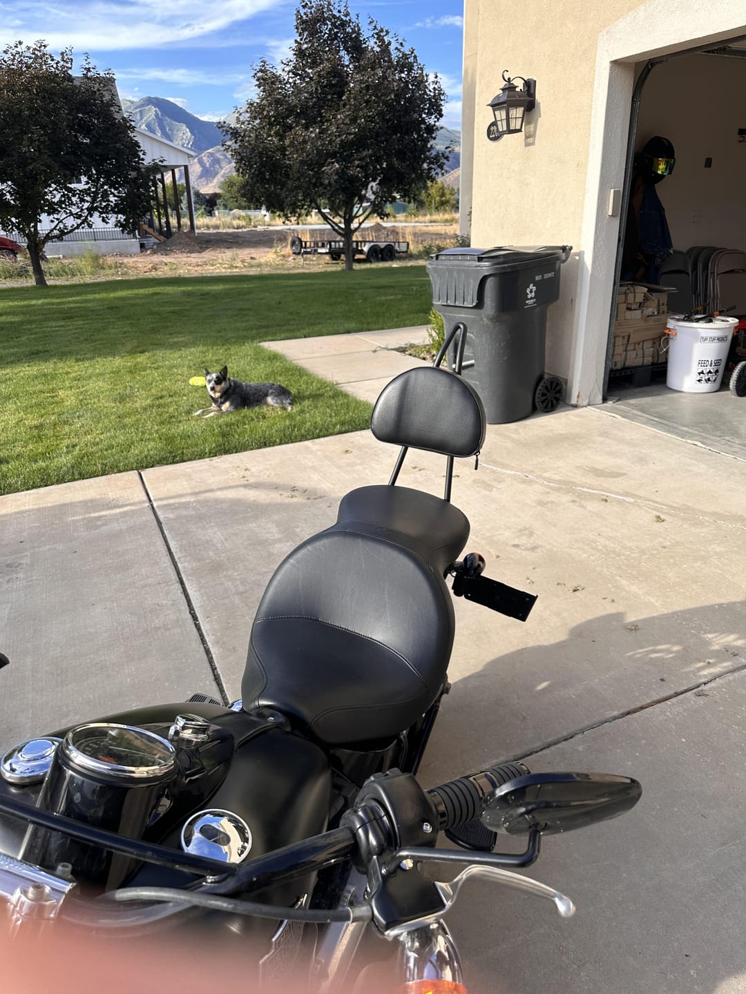 Customer photo review of Iron Born Blade 25" Sissy Bar for Harley Softail Slim FLSL Matte Black