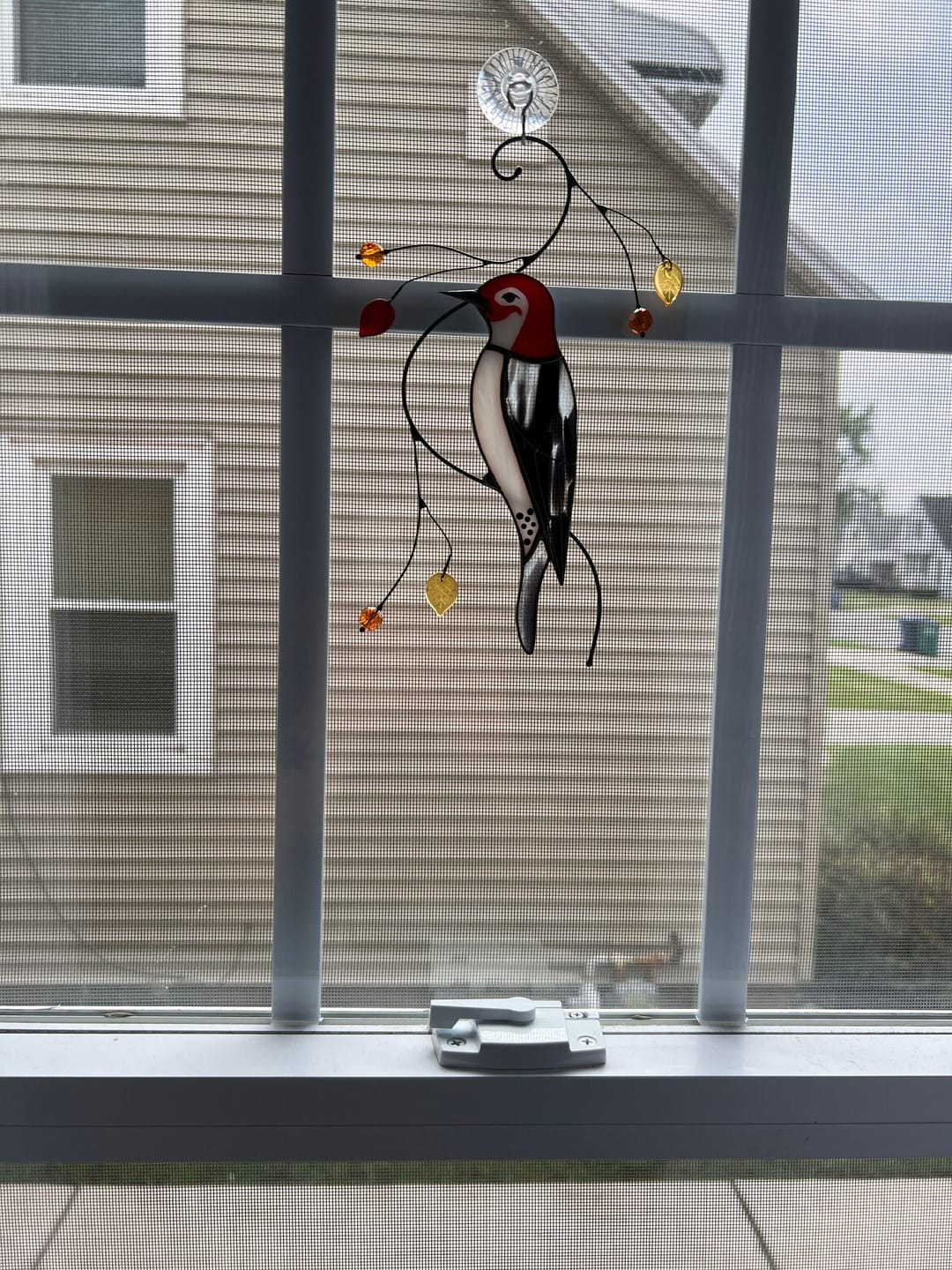 Customer photo review of Woodpecker Suncatcher