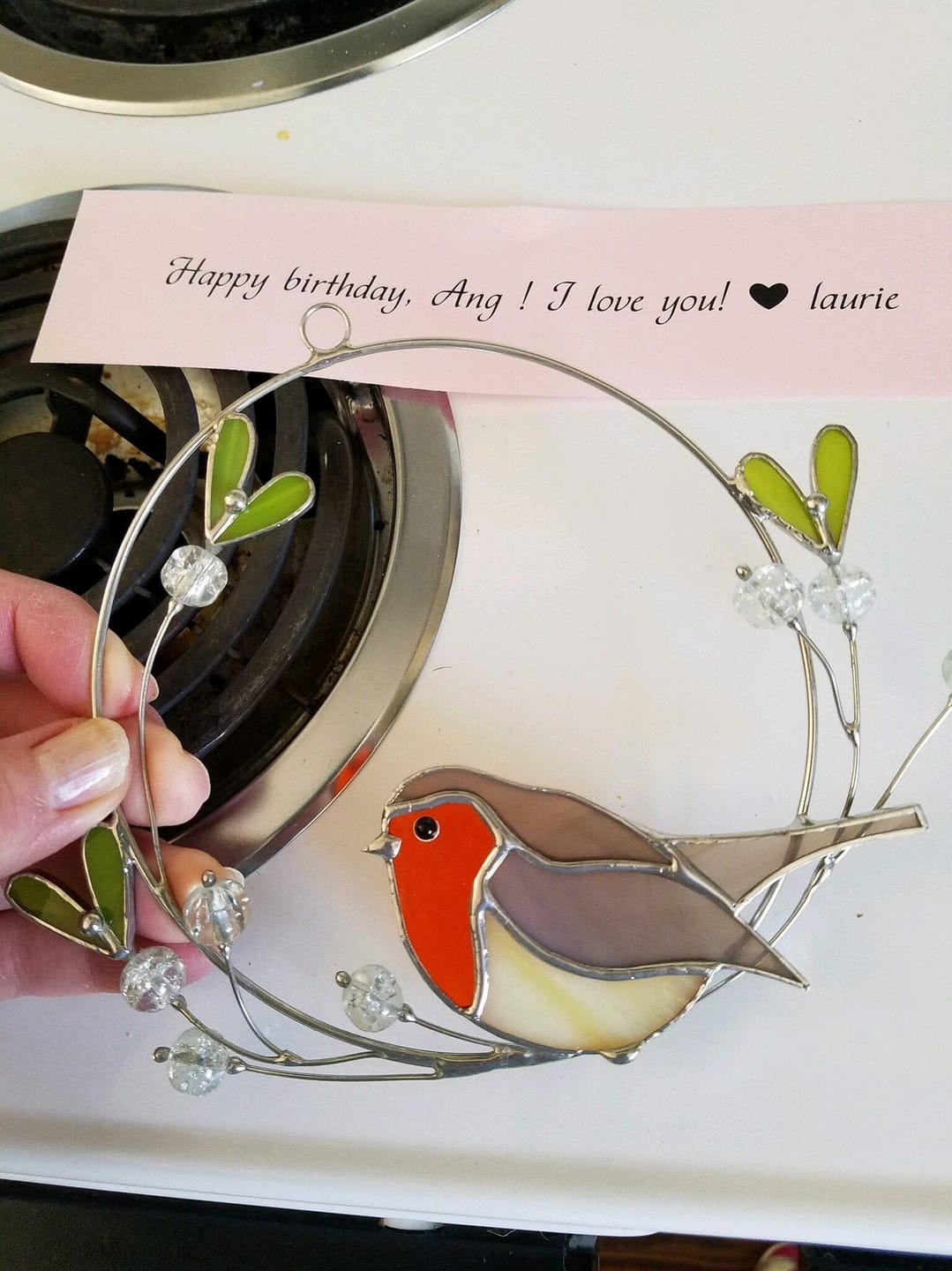 Customer photo review of Robin on the Mistletoe
