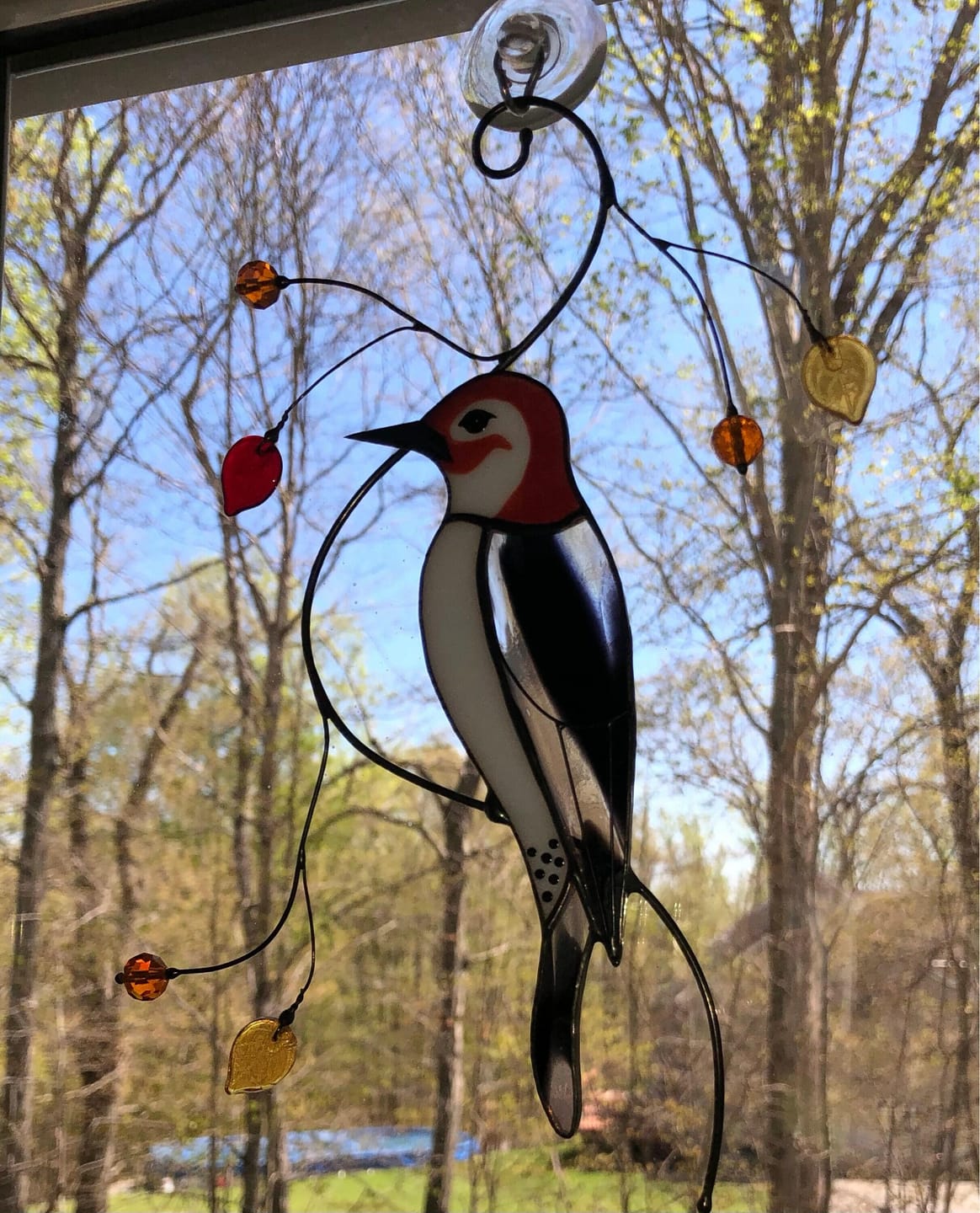 Customer photo review of Woodpecker Suncatcher
