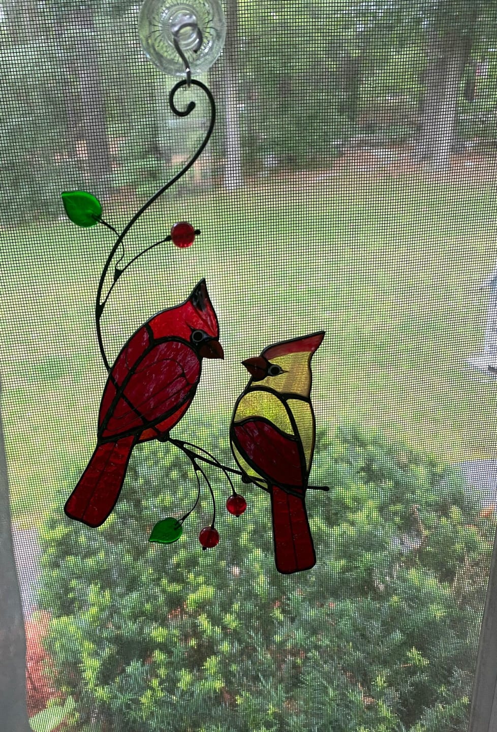 Customer photo review of Hugging Red Cardinals