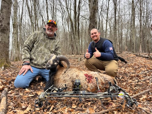 Customer photo review of Beast Broadheads - TRUMP Edition