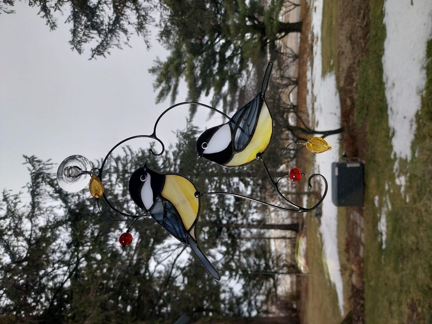 Customer photo review of Couple of Chickadee