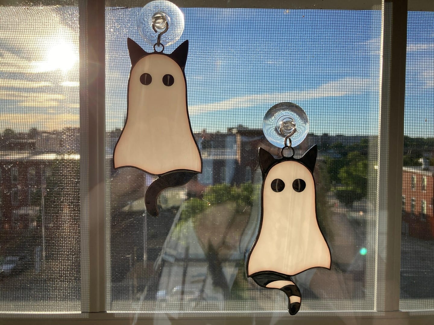 Customer photo review of Cat-Ghosts