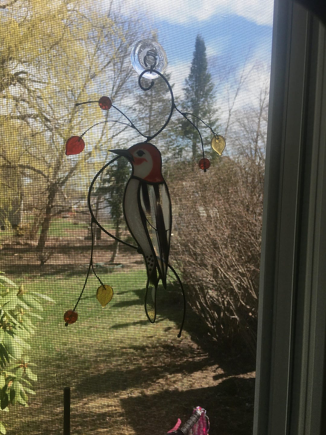 Customer photo review of Woodpecker Suncatcher