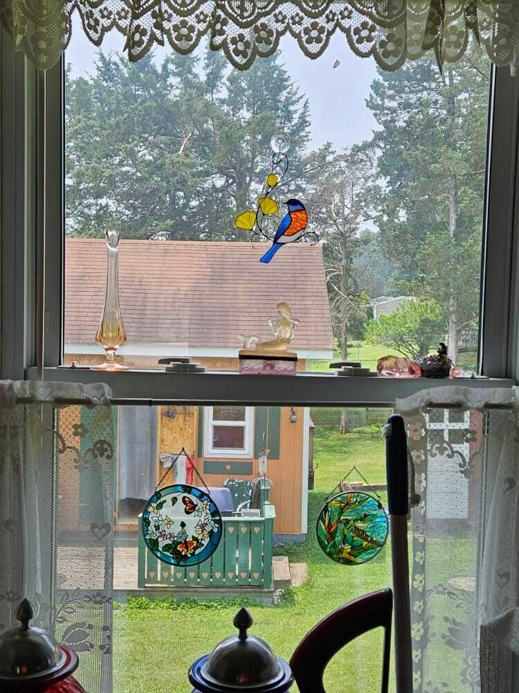 Customer photo review of Bluebird with Yellow Flowers