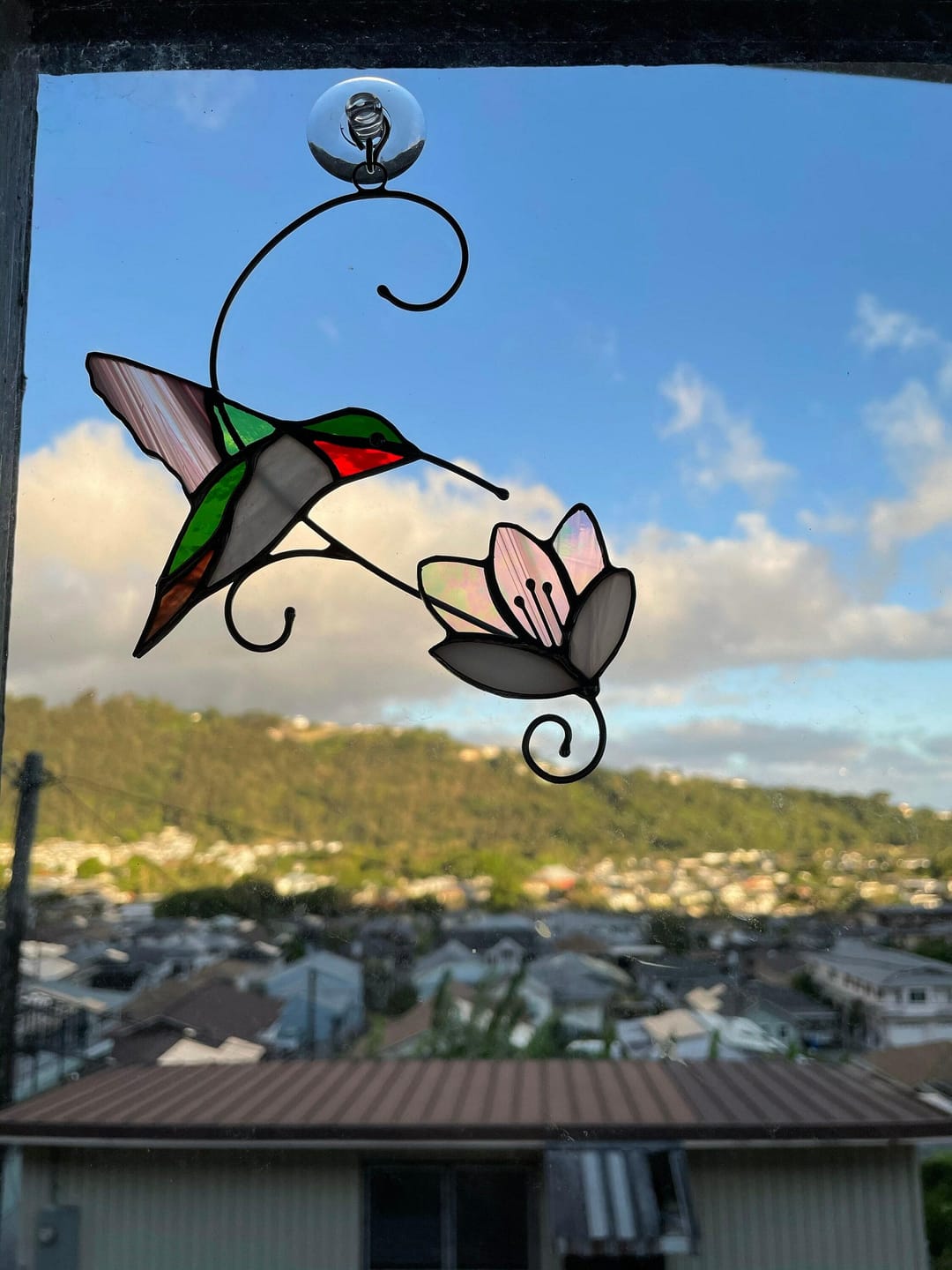 Customer photo review of Ruby-throated Hummingbird with the Flower