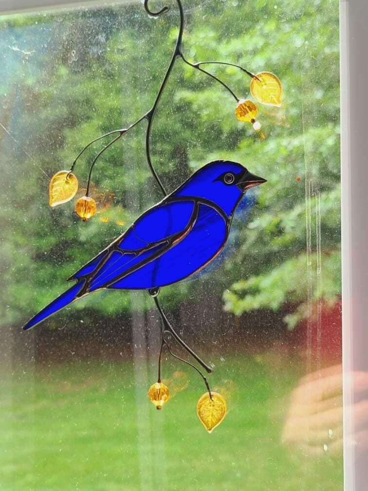 Customer photo review of Indigo Bunting Bird