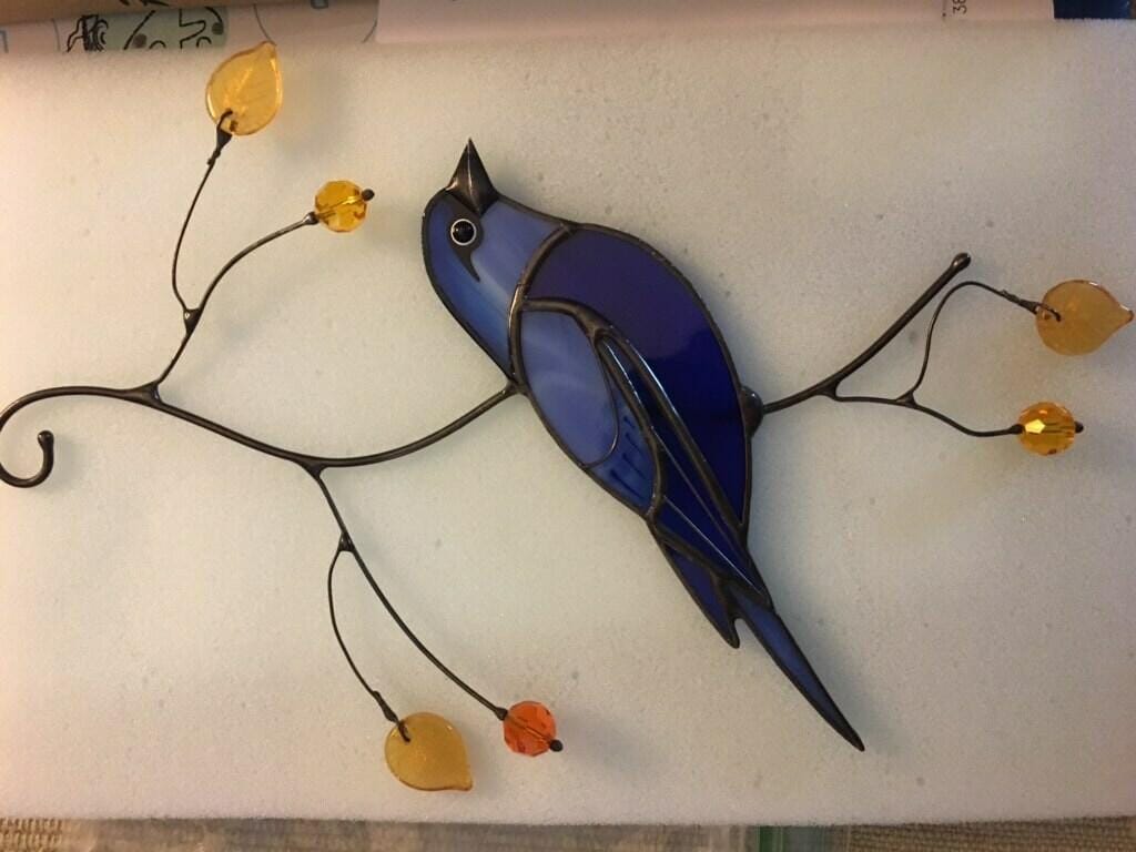 Customer photo review of Indigo Bunting Bird