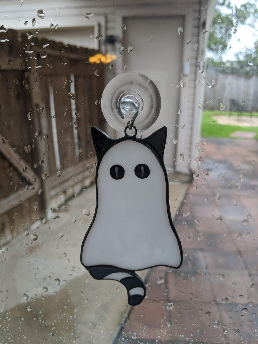 Customer photo review of Cat-Ghosts