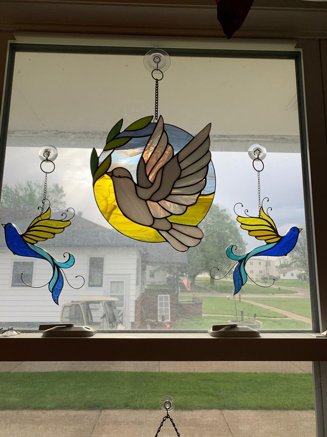 Customer photo review of Bird in UA colors