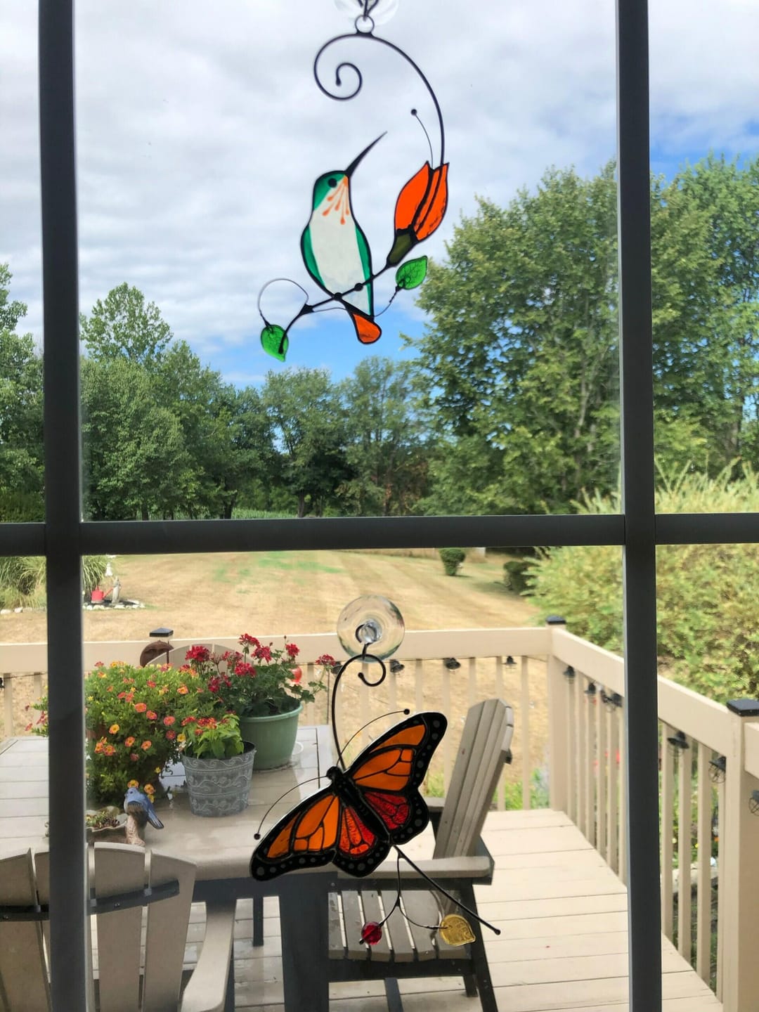 Customer photo review of Monarch Butterfly Top View