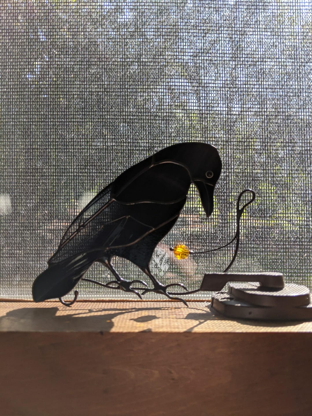 Customer photo review of Raven