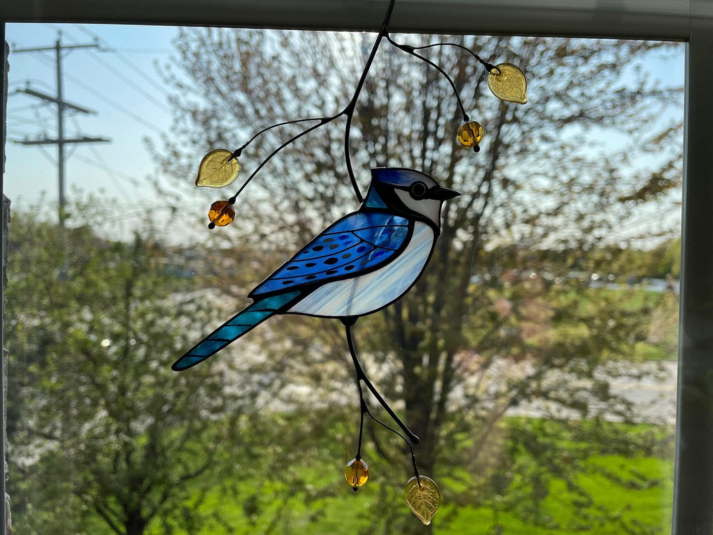 Customer photo review of Blue Jay stained glass bird realistic on a branch