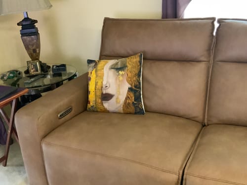 Customer photo review of Gustav Klimt Pillow cases