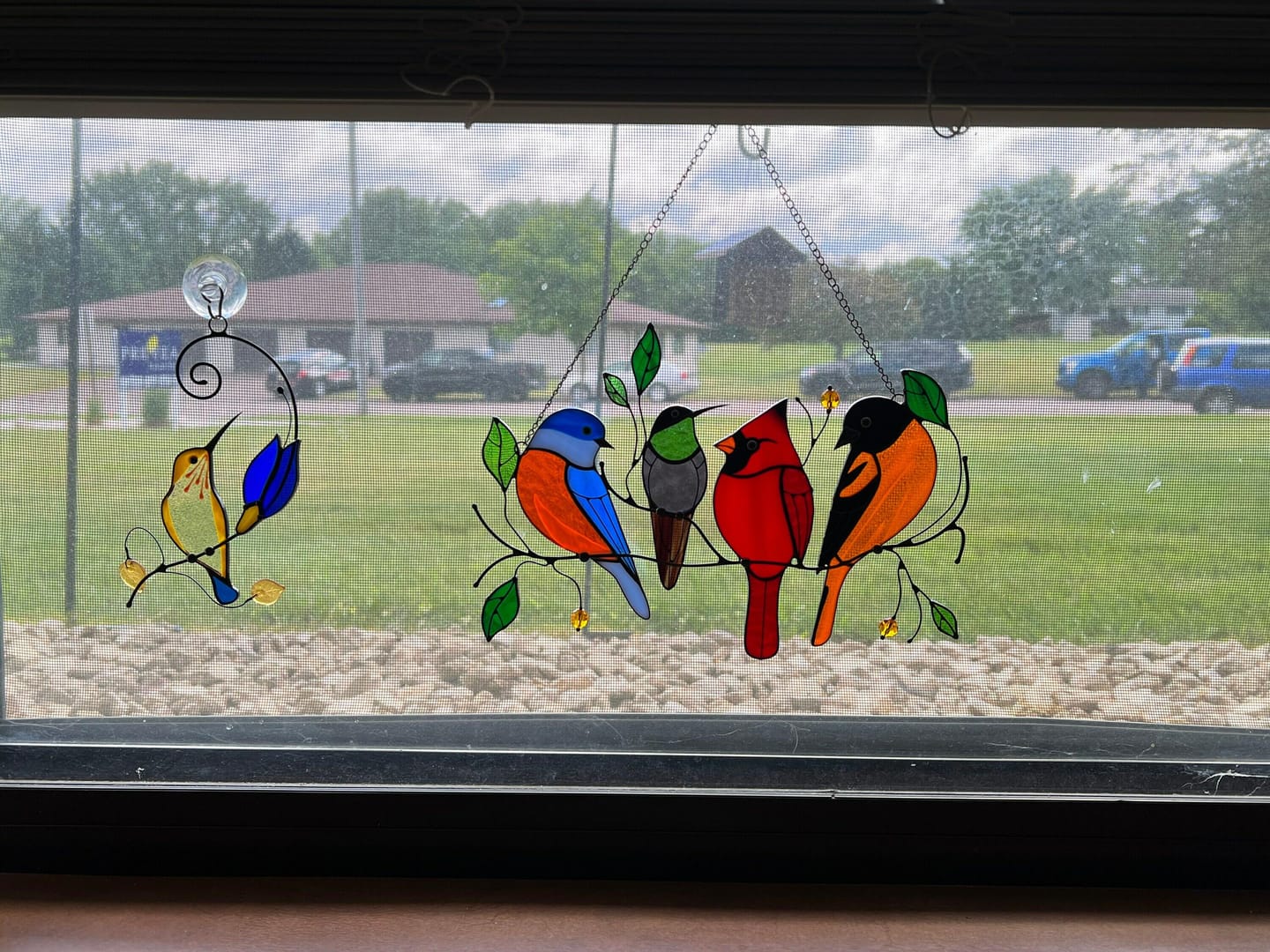 Customer photo review of Four Birds on the Branch