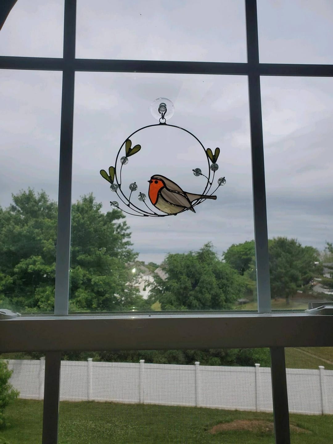 Customer photo review of Robin on the Mistletoe