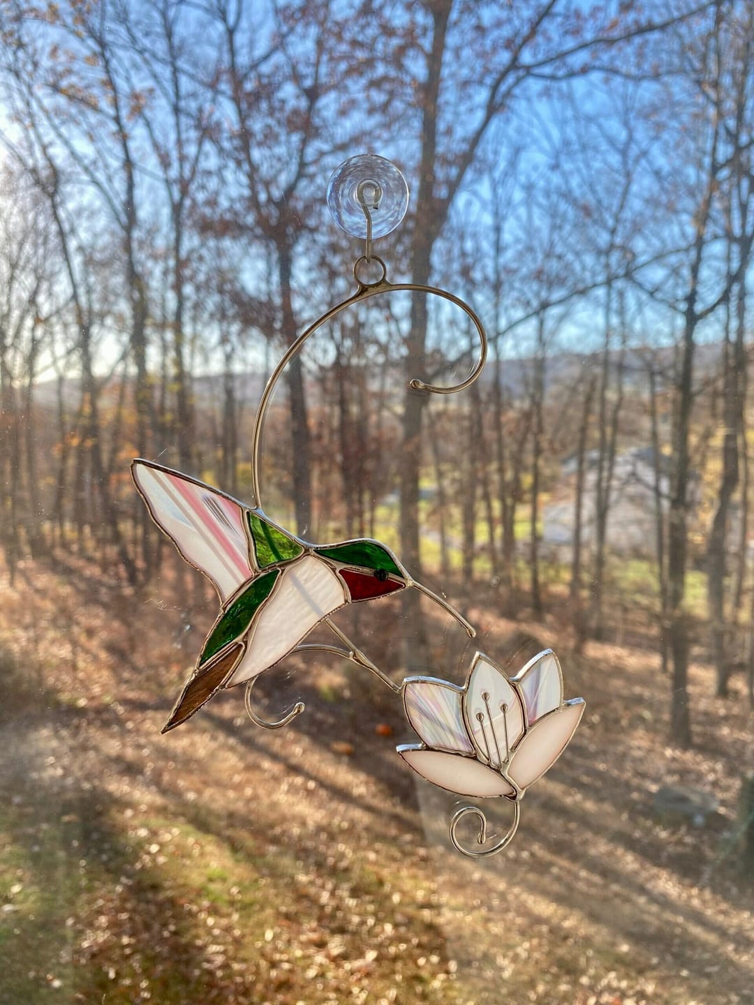 Customer photo review of Ruby-throated Hummingbird with the Flower