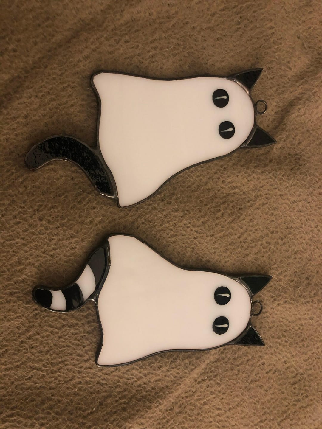 Customer photo review of Cat-Ghosts