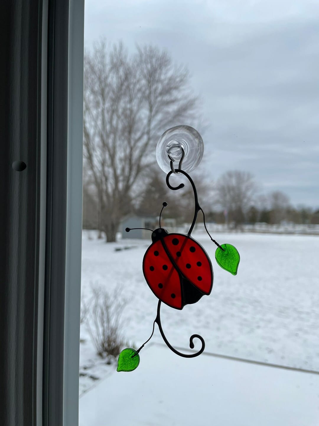 Customer photo review of Red Ladybug Suncatcher