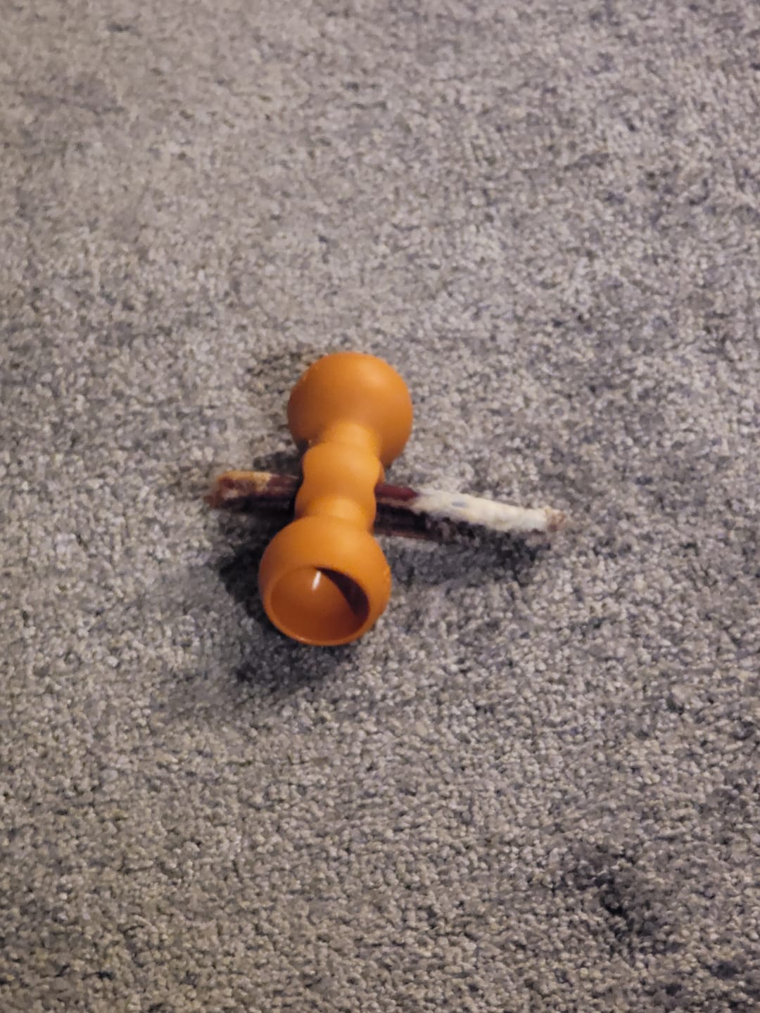 Customer photo review of 6 Inch Thin Bully Sticks