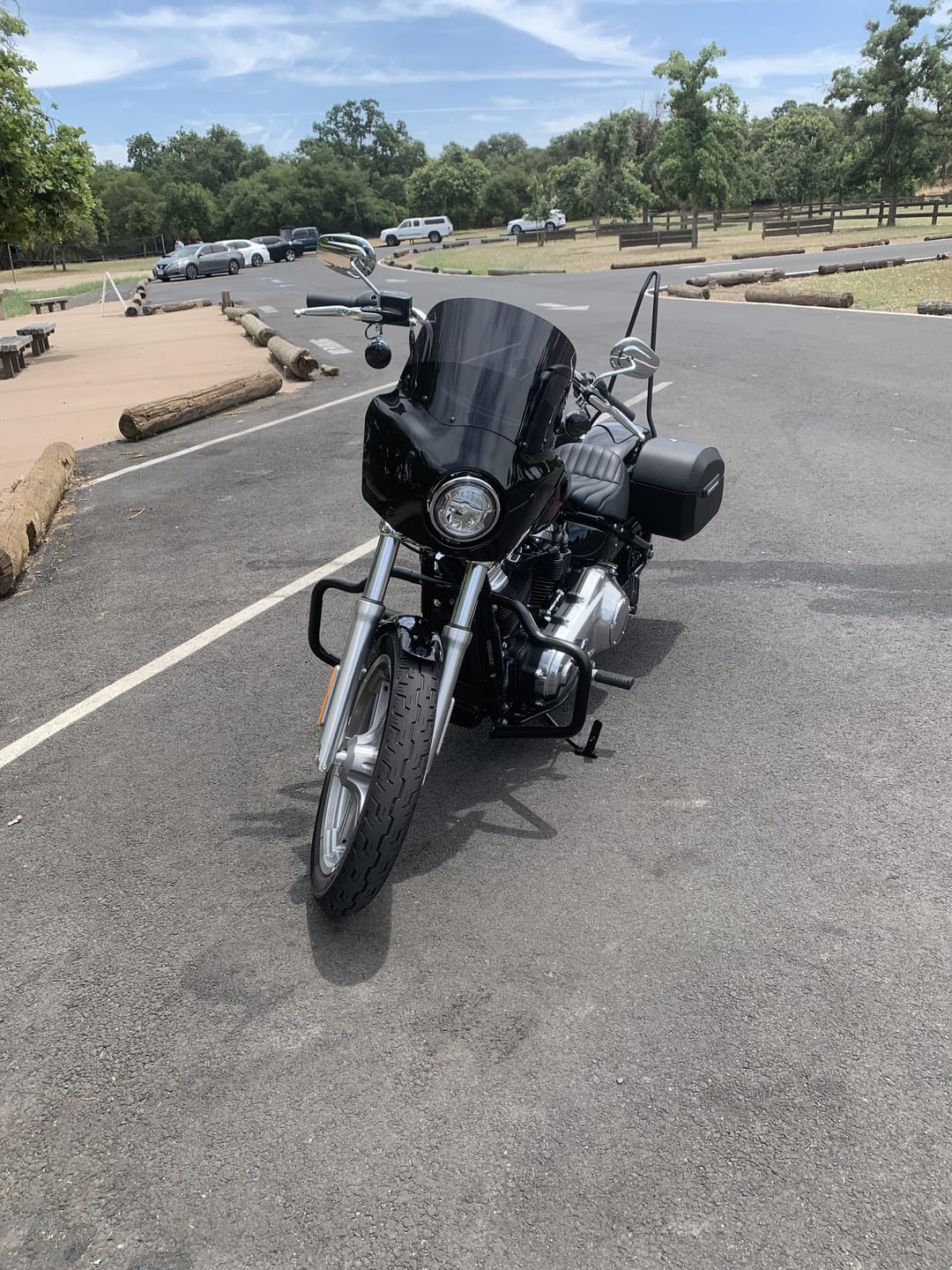 Customer photo review of 32L - Darkin Large Quick Mount Painted Hard Saddlebags for Harley Softail Standard FXST
