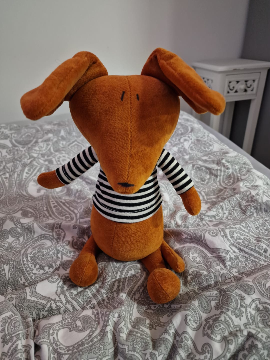 Customer photo review of SCOTT LE TECKEL - L