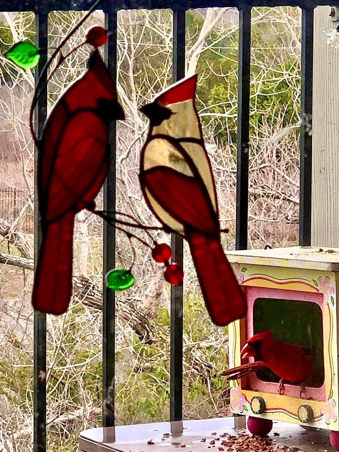 Customer photo review of Hugging Red Cardinals