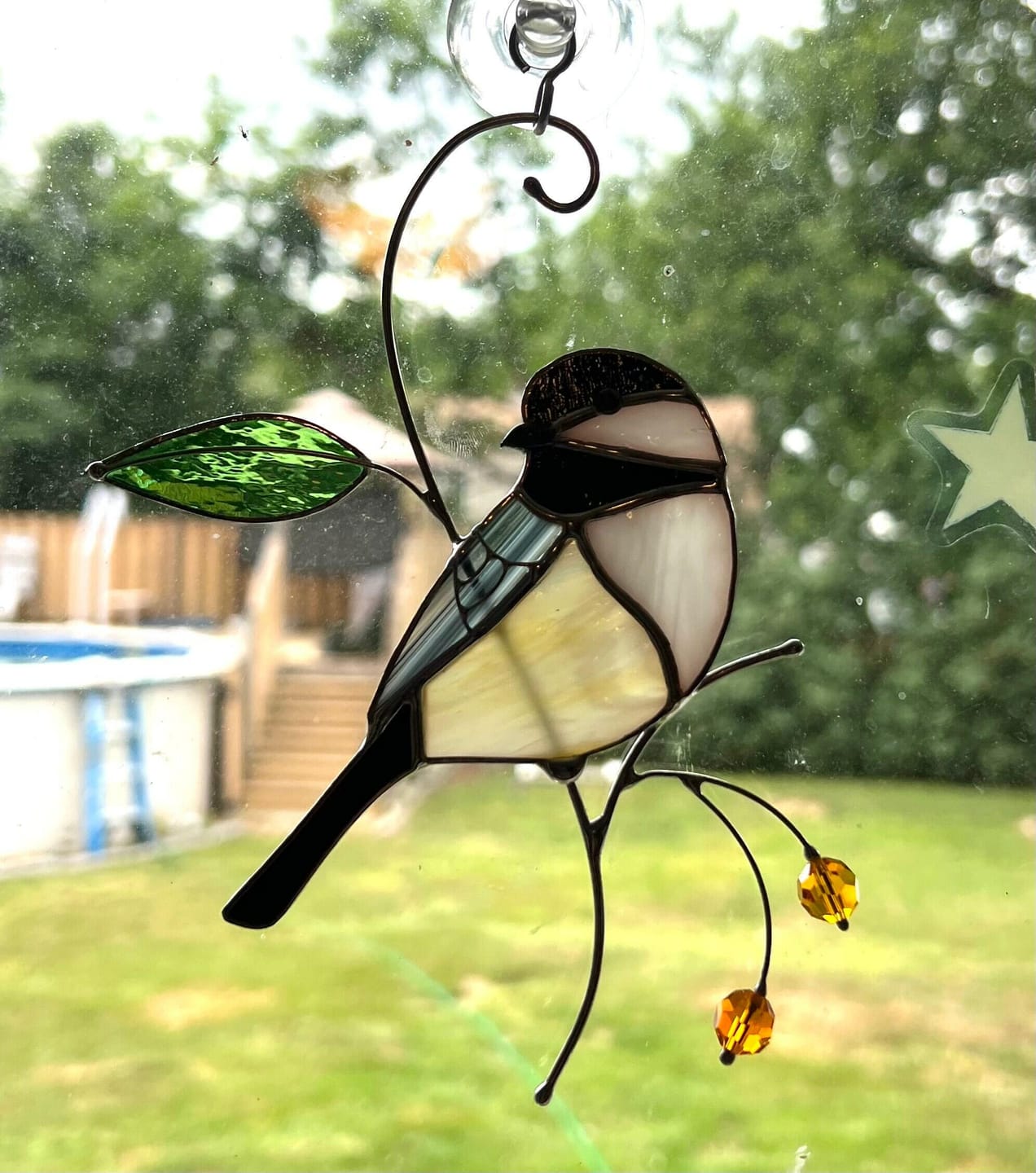 Customer photo review of Chickadee with Berries