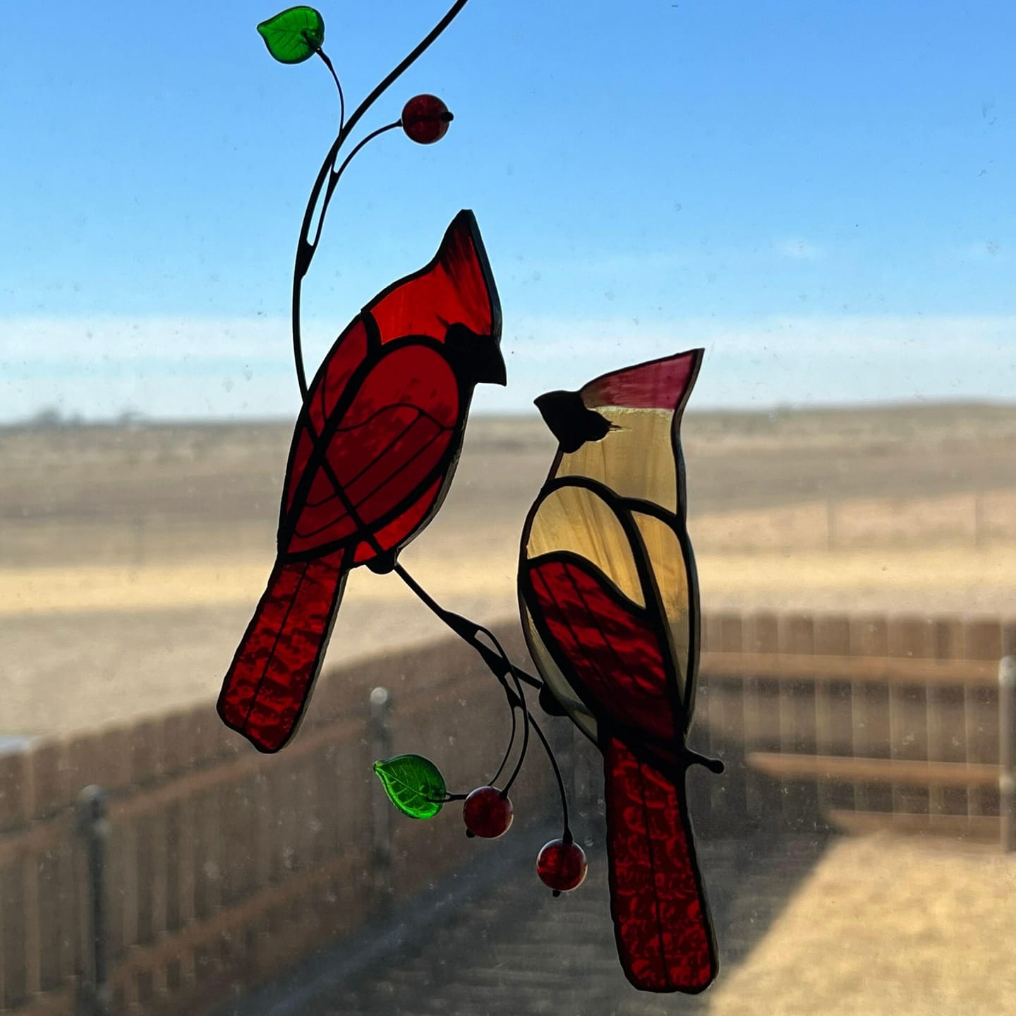 Customer photo review of Hugging Red Cardinals