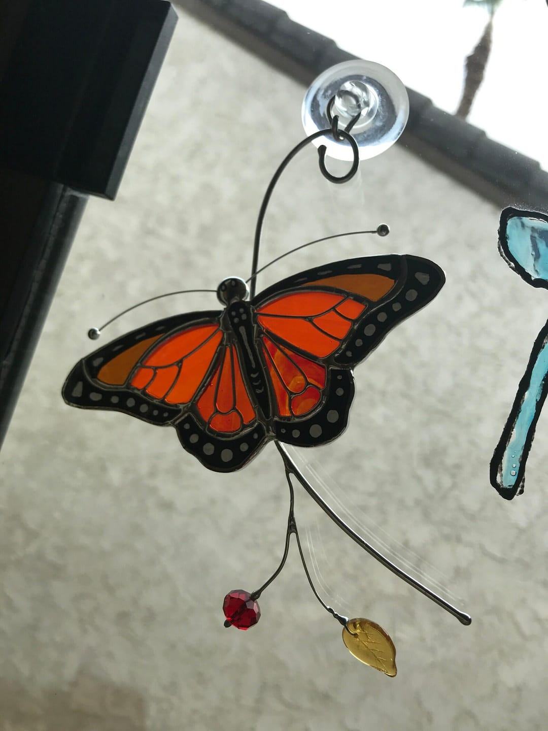 Customer photo review of Monarch Butterfly Top View