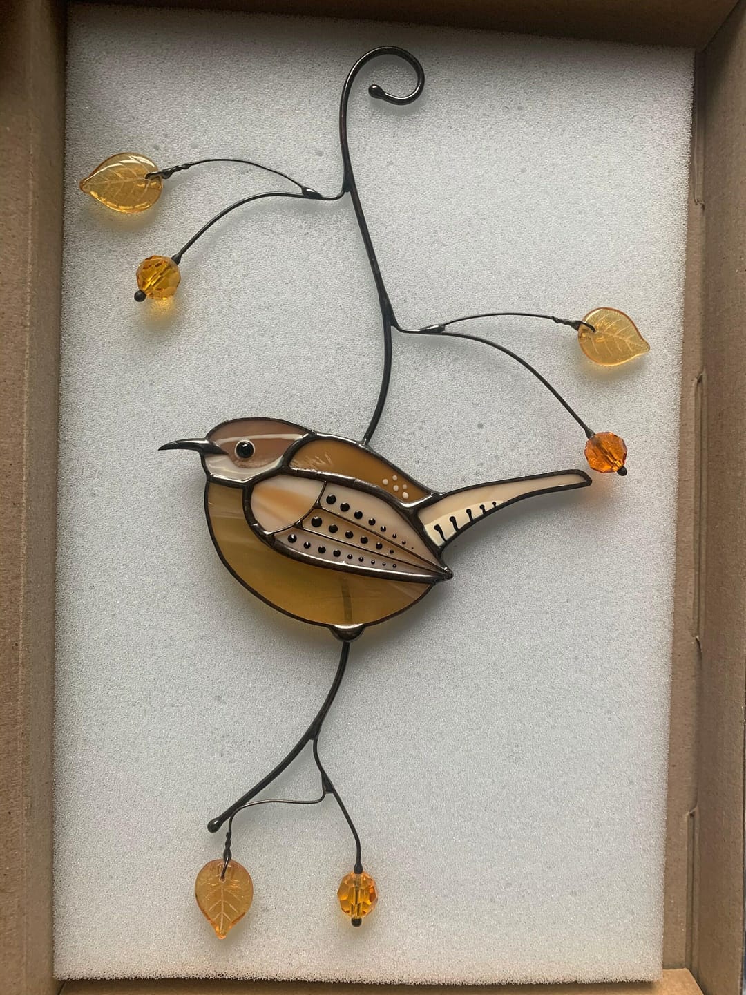 Customer photo review of Carolina Wren