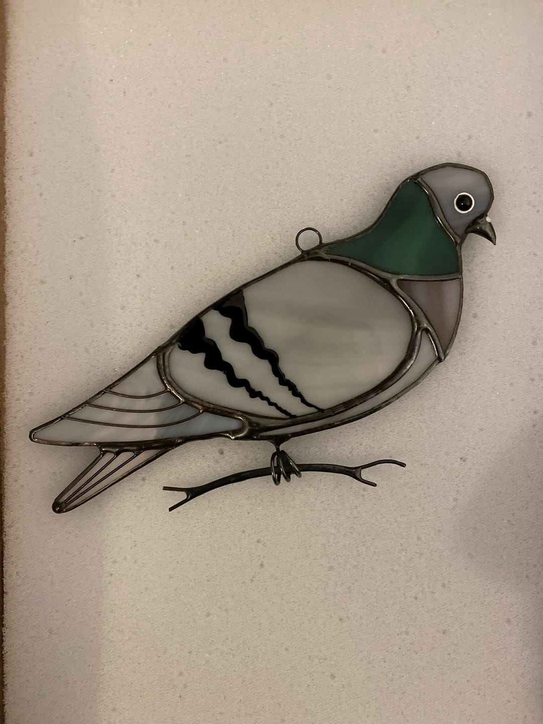 Customer photo review of Pigeon