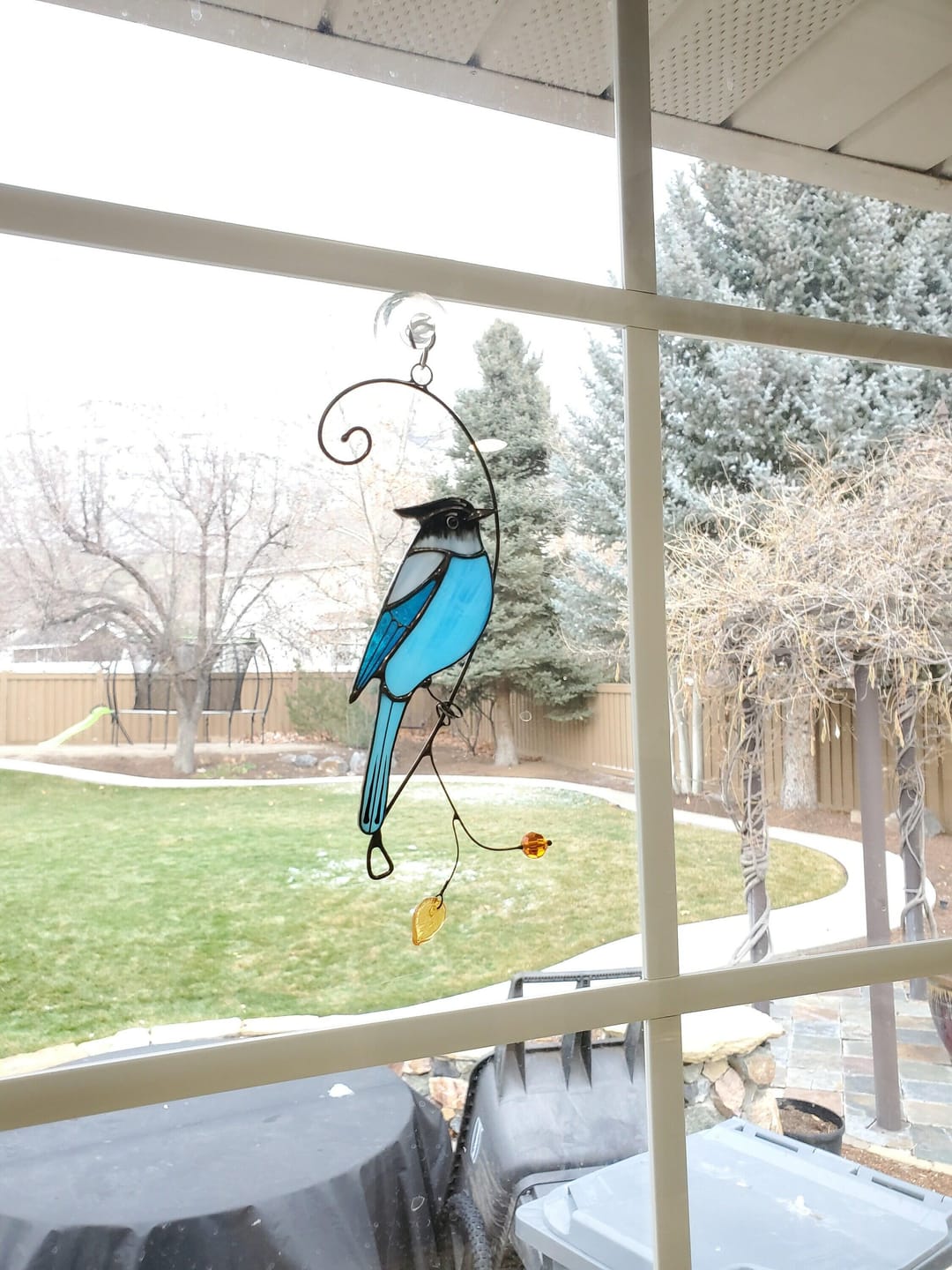 Customer photo review of Steller Jay Suncatcher